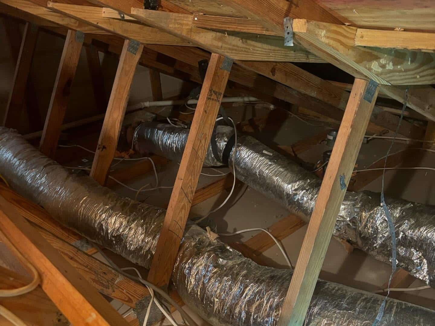 Insulation Removal From Attic Completed Work